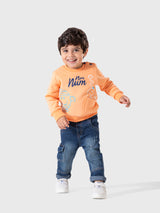 سويت شيرت ولادي ب.ب